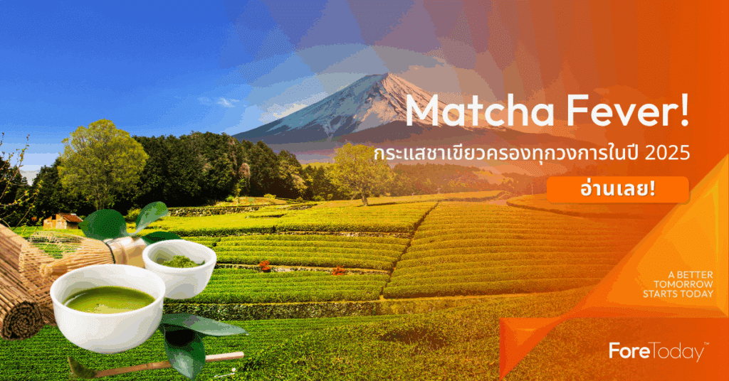 Matcha Fever! กระแสชาเขียวครองทุกวงการในปี 2025